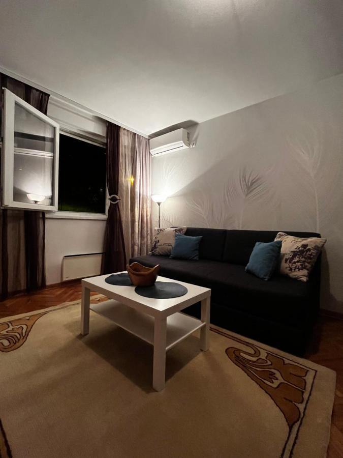 Apartman Sasha 2 Belgrado Exterior foto