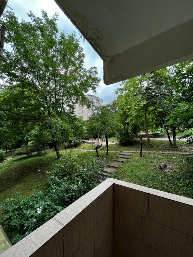 Apartman Sasha 2 Belgrado Exterior foto